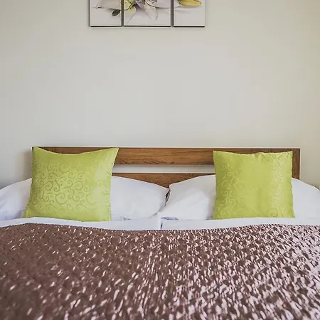 Guest house Ubytovani Andre
